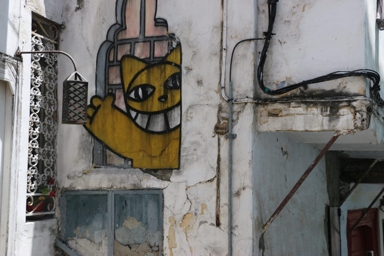 Wall in Tangier with Chris Marker cat
